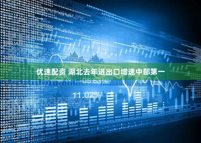 优速配资 湖北去年进出口增速中部第一